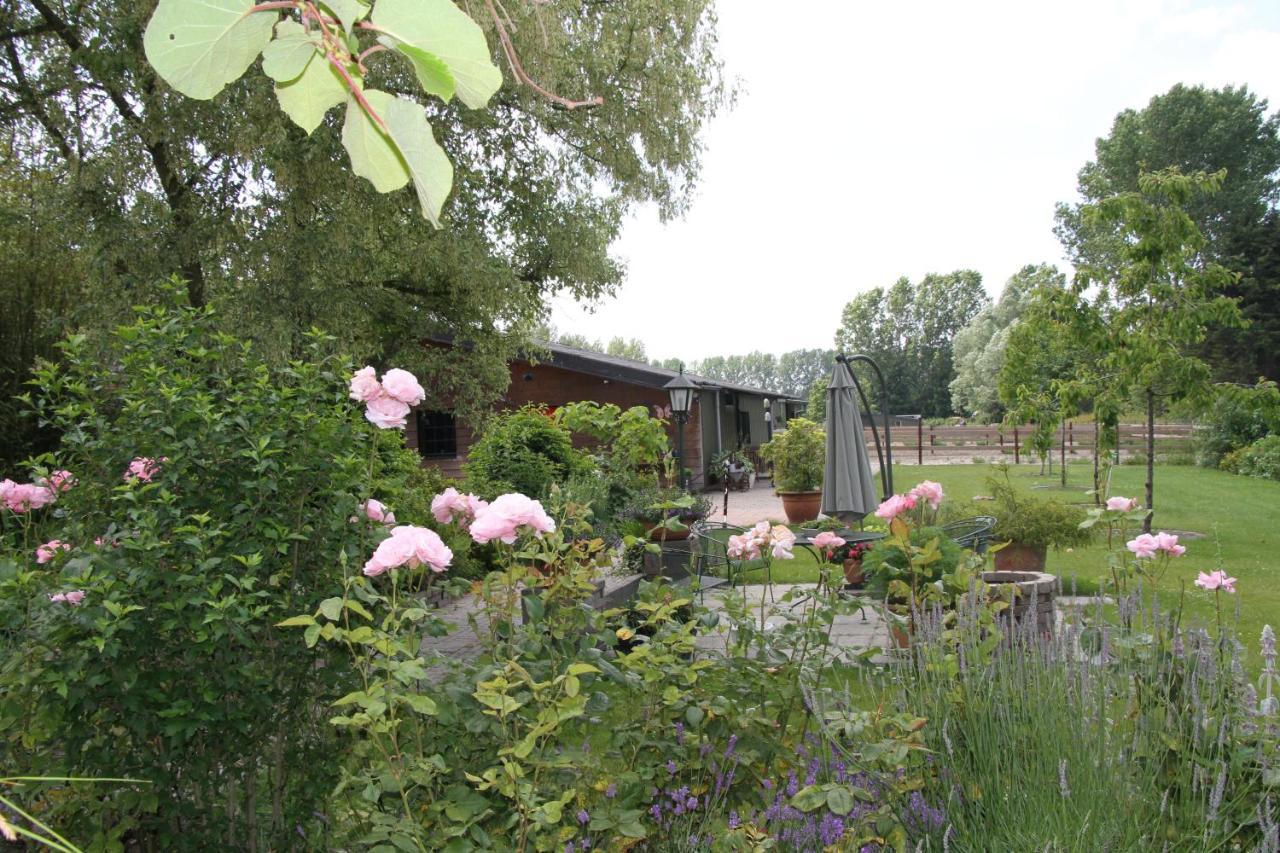 B&B De Rekkendonken Liempde Exterior photo